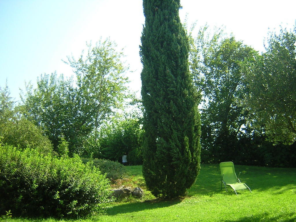 Agriturismo Trebisonda Country Resort Monzambano Kültér fotó