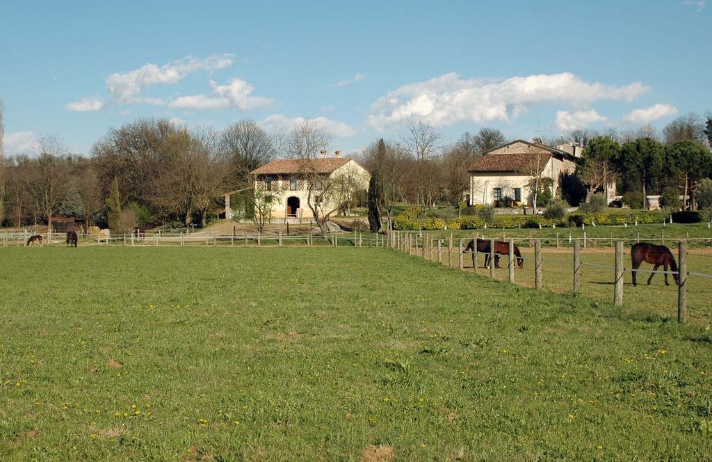 Agriturismo Trebisonda Country Resort Monzambano Kültér fotó