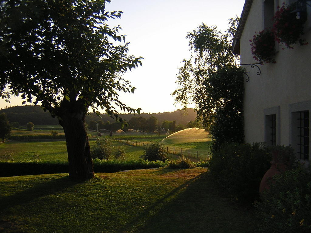 Agriturismo Trebisonda Country Resort Monzambano Kültér fotó