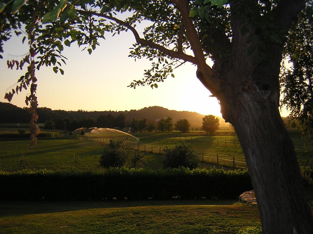 Agriturismo Trebisonda Country Resort Monzambano Kültér fotó